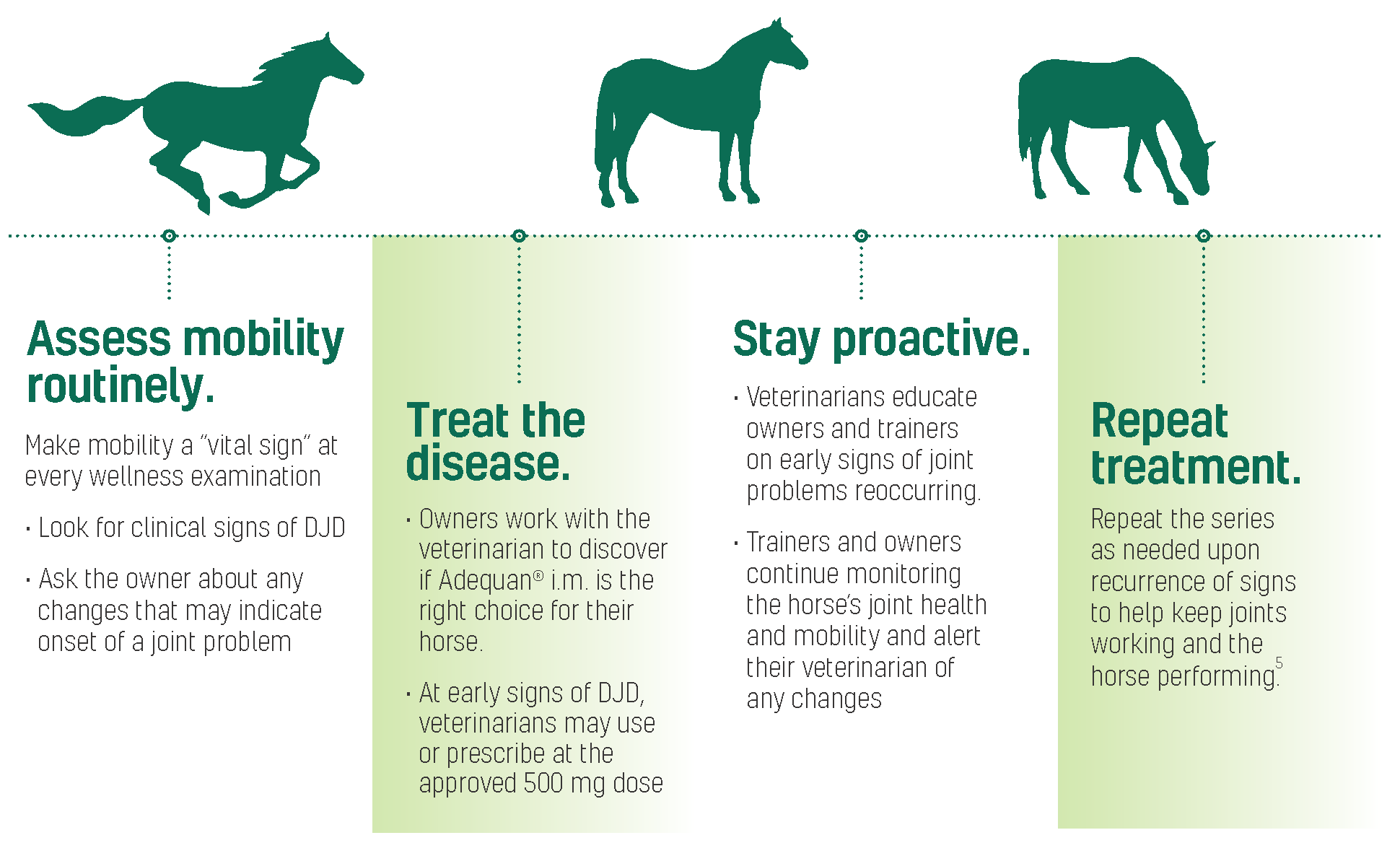 Adequan Equine lifestages mobility considerations